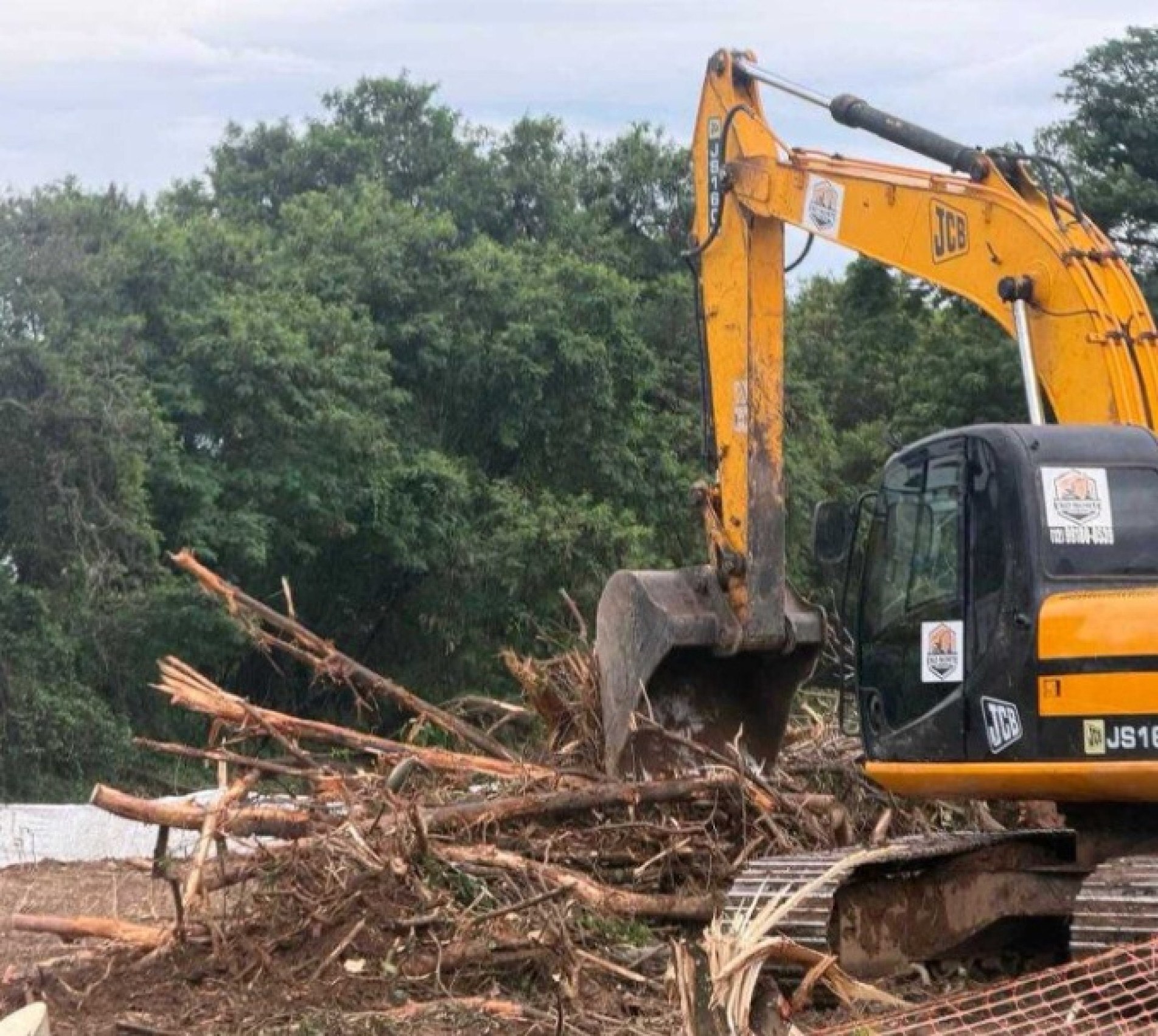 Na quarta-feira, a derrubada de árvores avançava na área