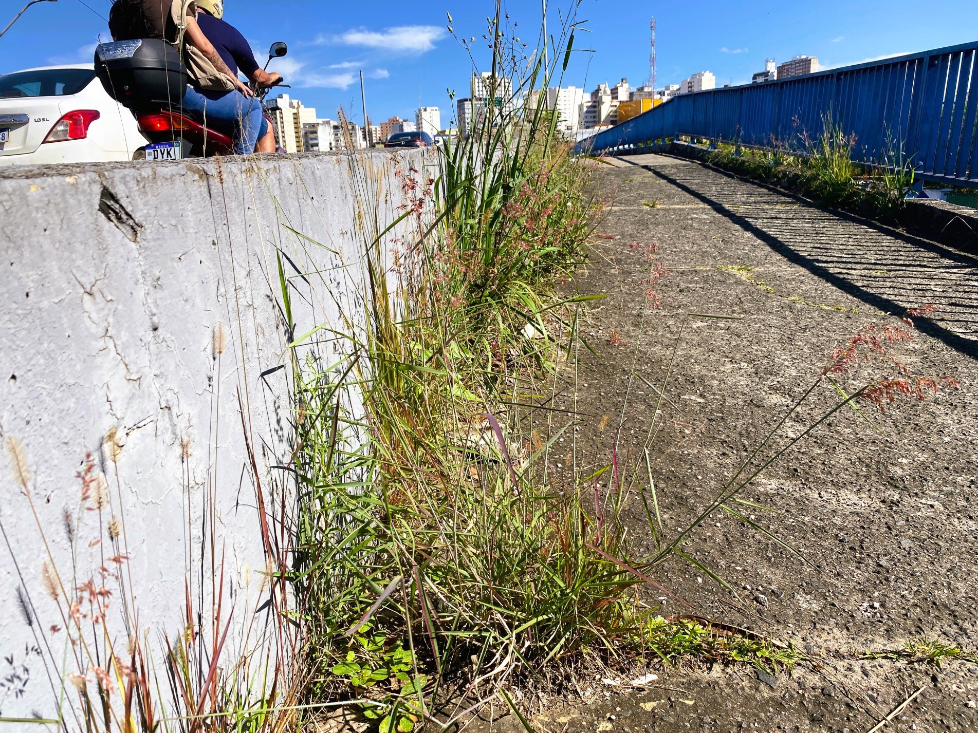 Passagem é de intenso movimento para o Centro e precisa de manutenção