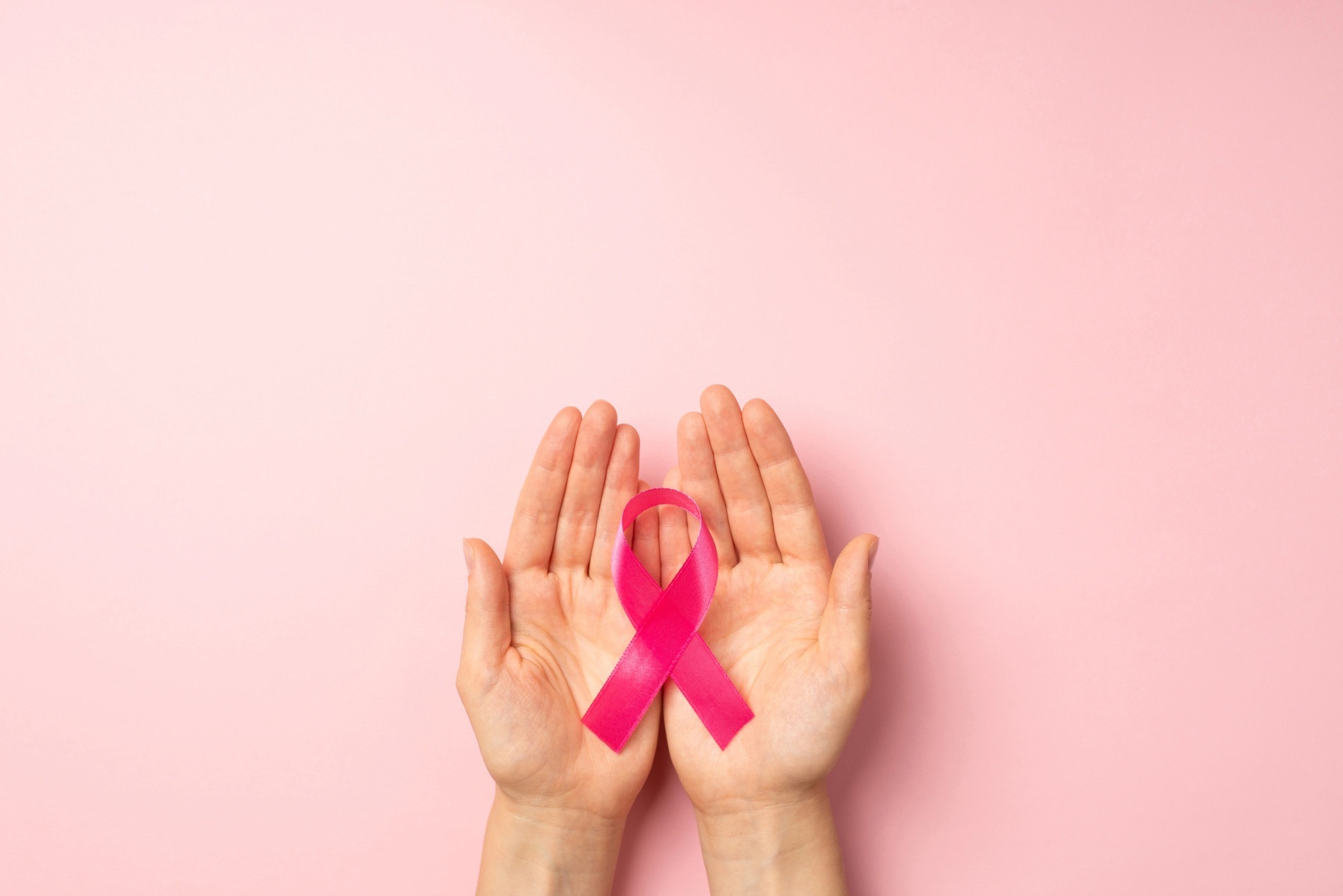 Além dos painéis, as participantes poderão interagir com os convidados