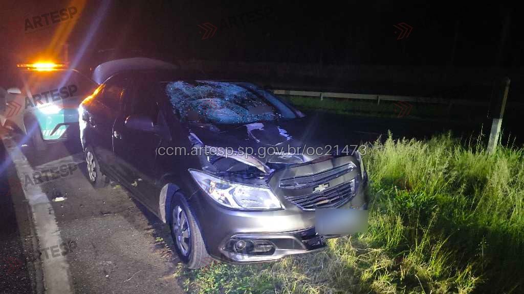 Acidente ocorreu na noite de quinta-feira (22), na altura do km 129