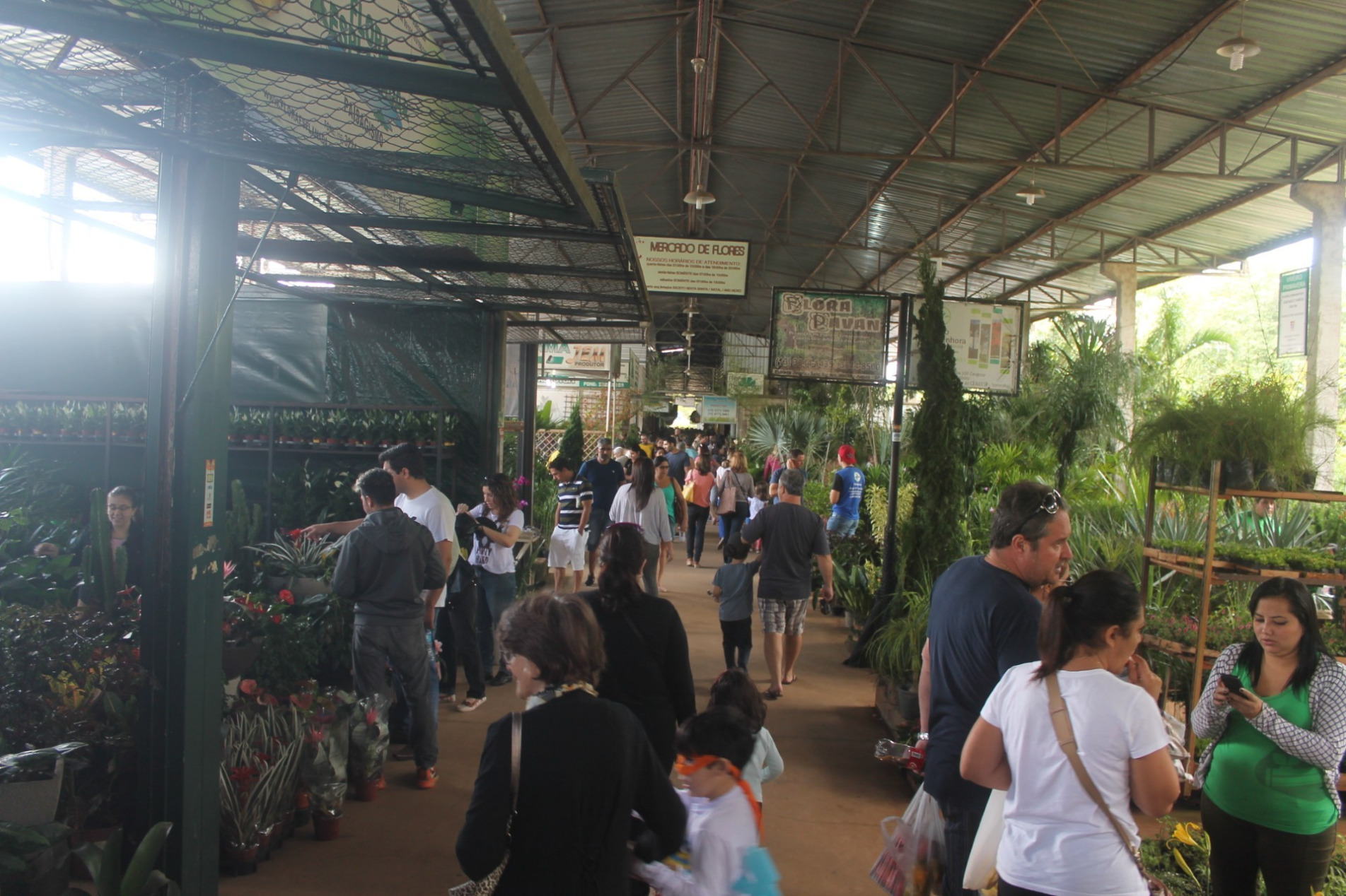  CEAGESP irá promover a Feira de Flores de Sorocaba durante os três dias antecedentes ao feriado