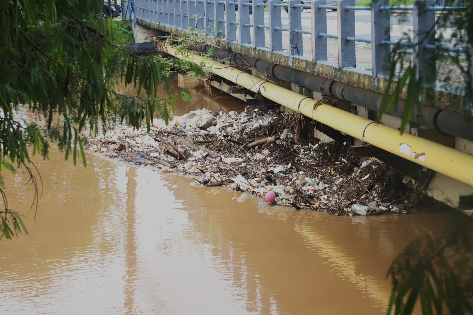 Saae diz que faz limpeza 
contínua e pede que moradores 
não descartem lixo no rio