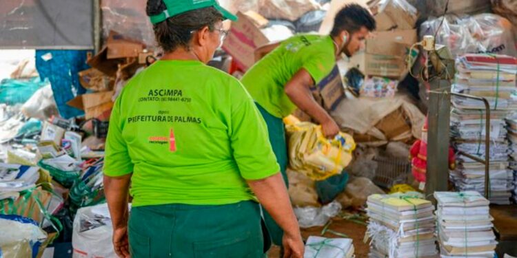 Novo benefício chamado Bolsa Catador paga R$ 1 mil por mês para quem coleta materiais recicláveis nesta cidade