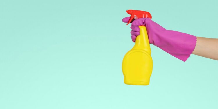 Ser chamada de diarista ou empregada doméstica dá acesso a benefícios trabalhistas diferentes