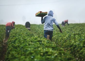 Quem trabalha no meio rural e perdeu um ente querido pode ter direito a uma pensão especial