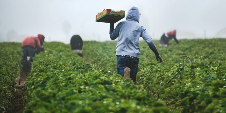 Quem trabalha no meio rural e perdeu um ente querido pode ter direito a uma pensão especial