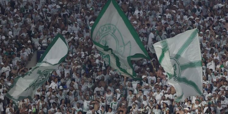 Trocou o Flamengo pelo Palmeiras e não para de fazer gols
