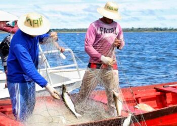 Quem é pescador tem direito a benefícios do governo federal