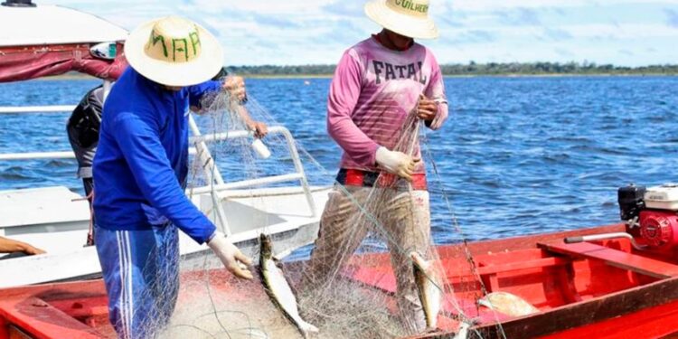 Quem é pescador tem direito a benefícios do governo federal