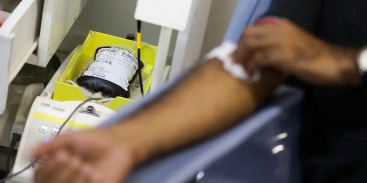 Existe idade limite para doar sangue? Veja como funciona