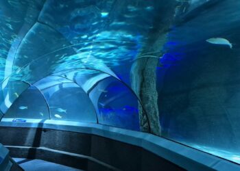 Gigantesco túnel submarino de R$ 31,7 bilhões fará uma viagem de 2 horas passar para 30 minutos
