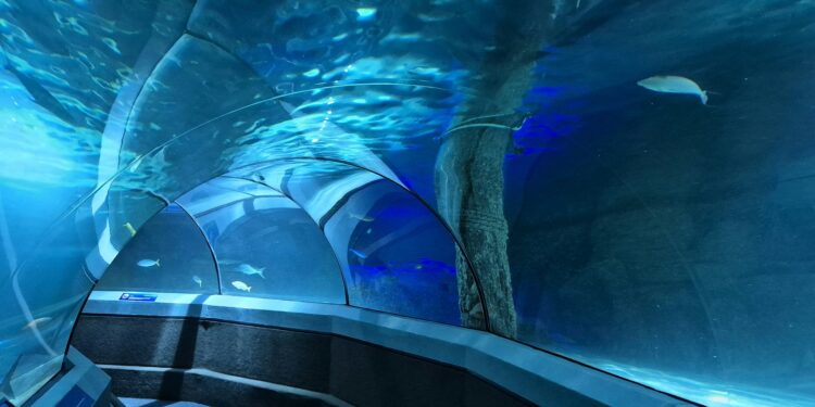 Gigantesco túnel submarino de R$ 31,7 bilhões fará uma viagem de 2 horas passar para 30 minutos