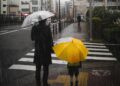 Quem molha pedestres em dias de chuva pode ser multado em R$ 130 e levar 4 pontos na carteira