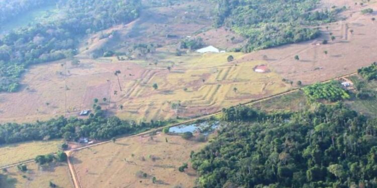 Ratanabá foi encontrada na Amazônia? Cientistas descobriram enorme civilização antiga