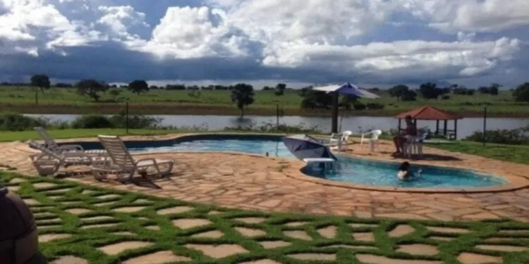 Cantor sertanejo deixou de vender fazenda por R$ 350 milhões e agora propriedade é avaliada em R$ 800 milhões