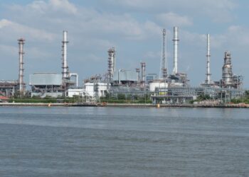 Cooperativa investe milhões fábrica enquanto