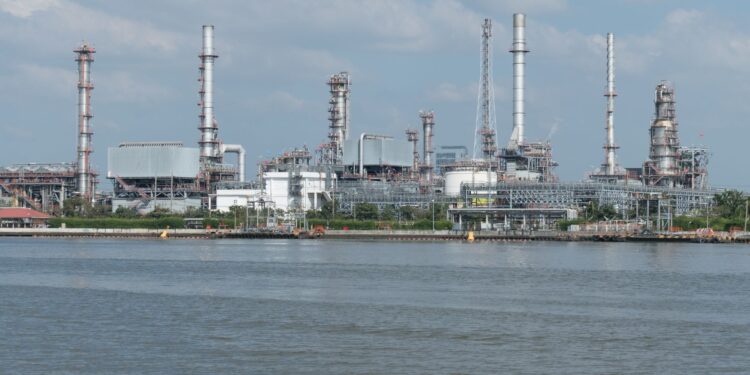 Cooperativa investe milhões fábrica enquanto