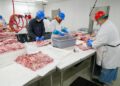 Frigorífico encerra operações falência decretada