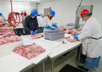 Frigorífico encerra operações falência decretada