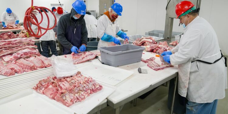 Frigorífico encerra operações falência decretada