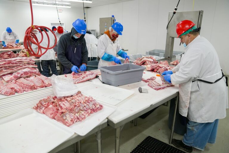 Frigorífico encerra operações falência decretada