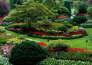 Nova tendência de jardins substitui o paisagismo tradicional com bem menos burocracia