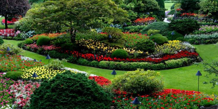 Nova tendência de jardins substitui o paisagismo tradicional com bem menos burocracia