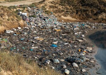 Nova lei permite denunciem crimes