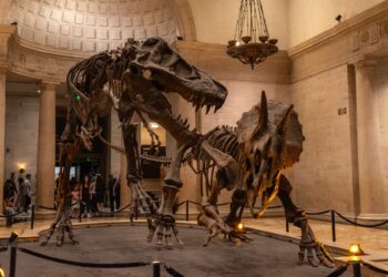Achado dinossauro metros revela nova