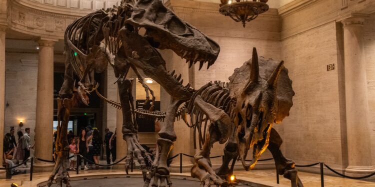Achado dinossauro metros revela nova