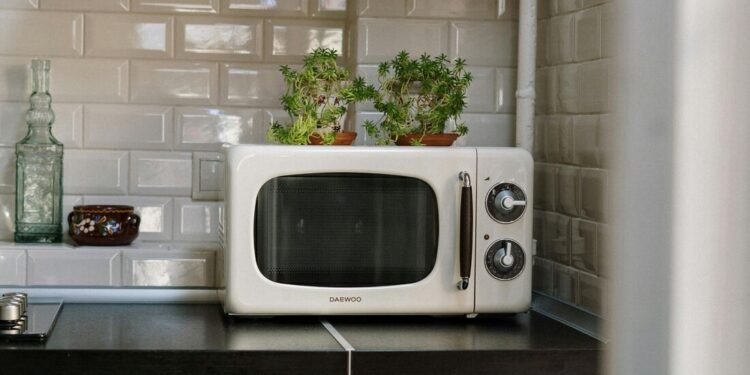 Adeus, air fryer e micro-ondas: novo eletrodoméstico descongela alimentos até 15 vezes mais rápido