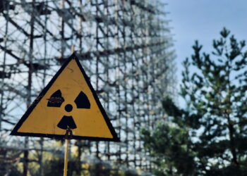 Cientistas foram pegos de surpresa com o que acharam nas ruínas de Chernobyl