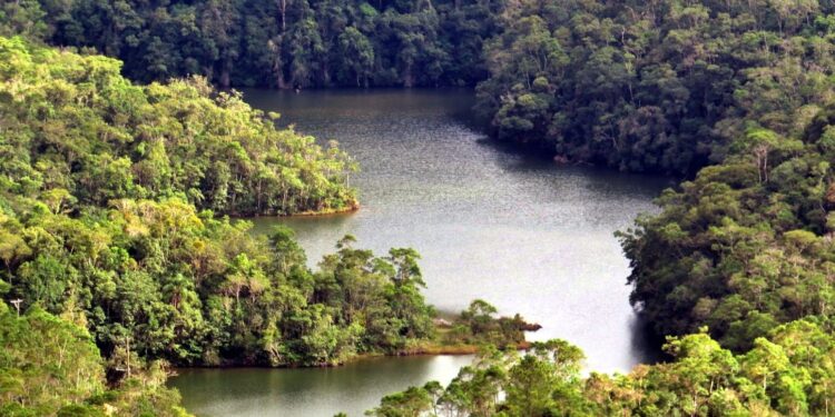 Parque perto de Sorocaba esconde cavernas, cachoeiras e trilhas em meio à Mata Atlântica