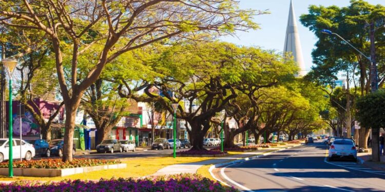 Cidade brasileira onde 98,5% dos moradores vivem em vias arborizadas vai receber R$ 2 bilhões em obras