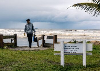 Nova lei prevê acesso gratuito