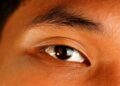 Cientistas desenvolvem maneira de recuperar a retina e melhorar significativamente a visão de adultos