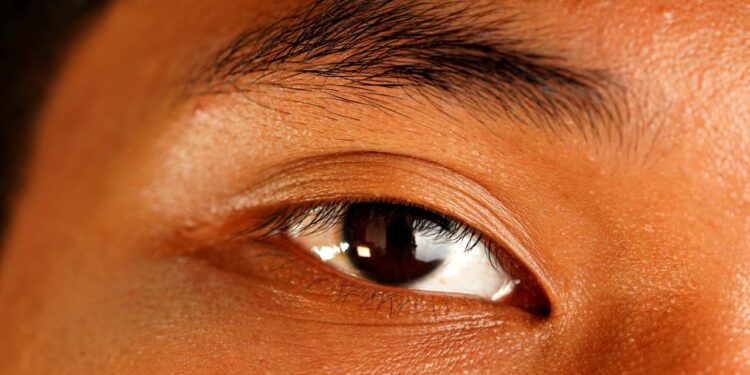 Cientistas desenvolvem maneira de recuperar a retina e melhorar significativamente a visão de adultos